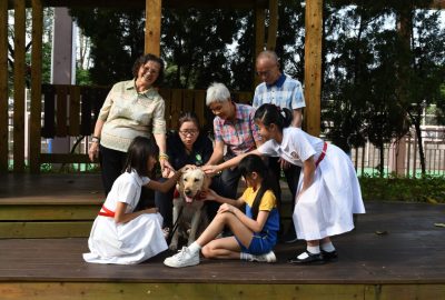 imgi_42_DSC_6672-scaled