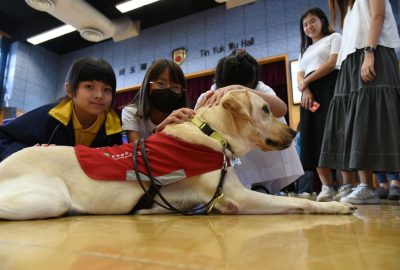 imgi_35_DSC_6631-scaled