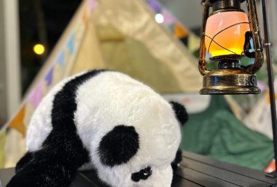 imgi_30_IMG-20241104-WA0034-scaled