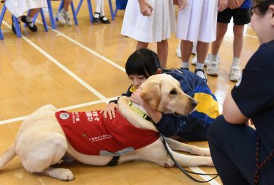 imgi_16_DSC_6491-scaled