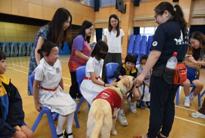 imgi_14_DSC_6479-scaled