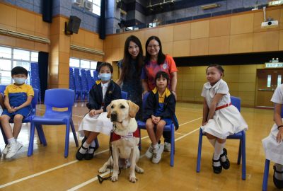 imgi_13_DSC_6477-scaled