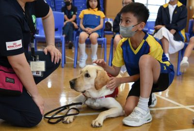 imgi_20_DSC_6503-scaled