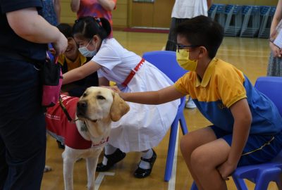 imgi_15_DSC_6482-scaled