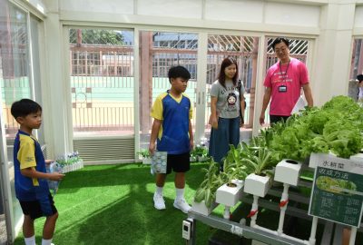 imgi_43_DSC_0497-scaled