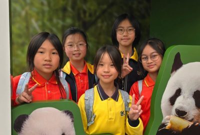 imgi_12_20250324_122217-scaled