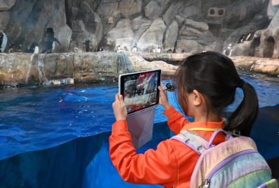 imgi_16_DSC_1777-scaled