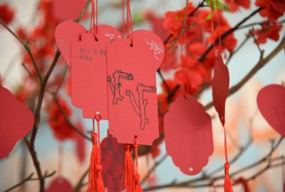 imgi_74_DSC_2630-scaled