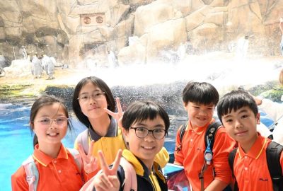 imgi_27_DSC_1766-scaled