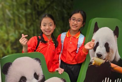 imgi_20_20250324_122259-scaled