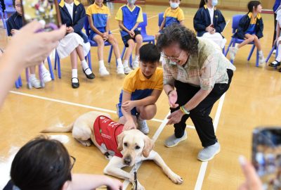 imgi_23_DSC_6512-scaled