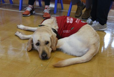 imgi_32_DSC_6606-scaled