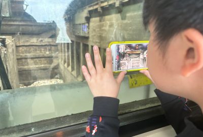 imgi_26_IMG_9224-scaled