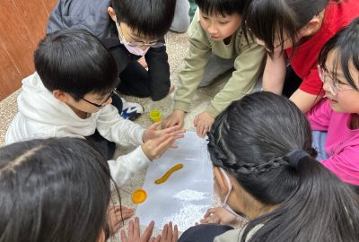 imgi_18_IMG_5627-scaled