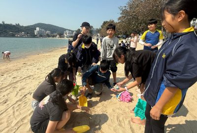 imgi_15_IMG_8628-scaled