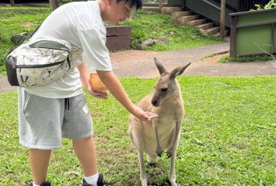 imgi_12_和袋鼠近距離接觸-scaled