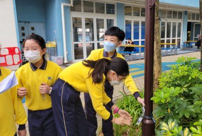 imgi_39_20240323_154352-scaled