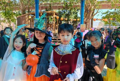 imgi_46_Copy-of-IMG_20241031_095312-scaled