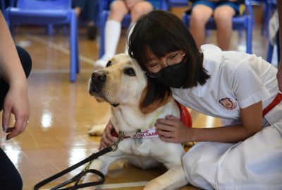 imgi_18_DSC_6499-scaled