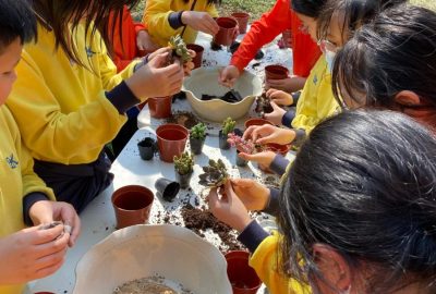 imgi_37_CZFU8663-scaled