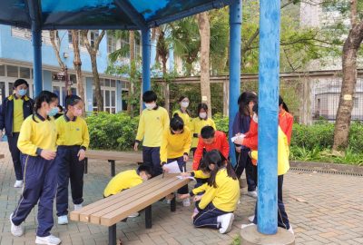 imgi_37_20240323_154057-scaled