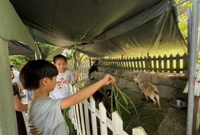 imgi_19_IMG_7456-scaled